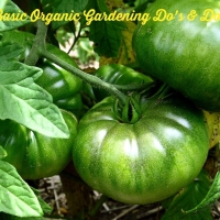 Organic Gardening Do's & Don'ts