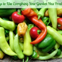 Ways to Use Everything Your Garden Has Produced