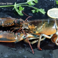 How to Cook and Serve Lobster