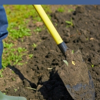 7 Best Fertilizer Choices For Organic Gardening