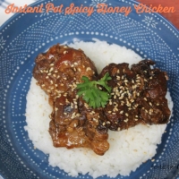 Instant Pot Spicy Honey Garlic Chicken Recipe