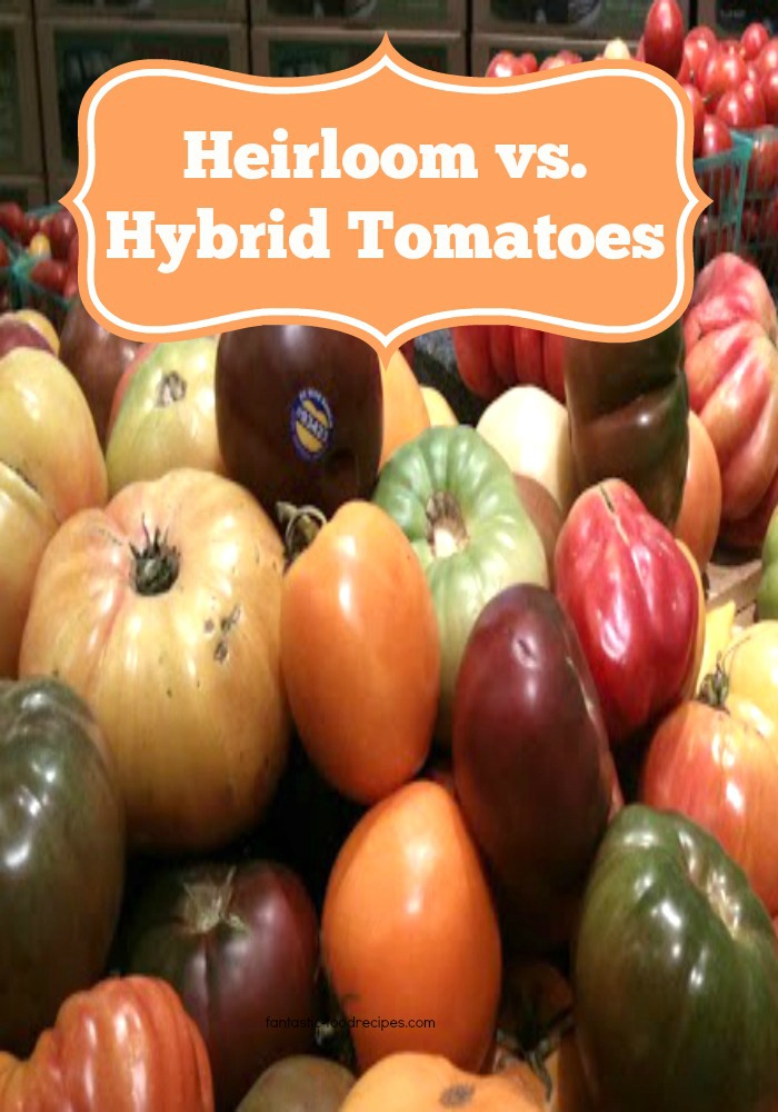 Heirloom vs. Hybrid Tomatoes-Tomatoes from Seed