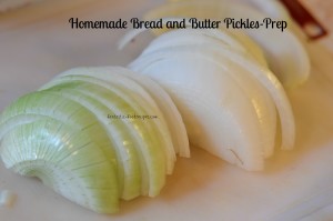 Homemade Bread and Butter Pickles 3