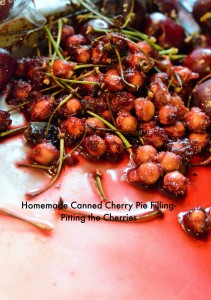 Homemade Canned Cherry Pie Filling- Pitting the Cherries
