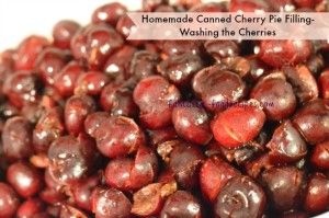 Homemade Canned Cherry Pie Filling- Washing the Cherries