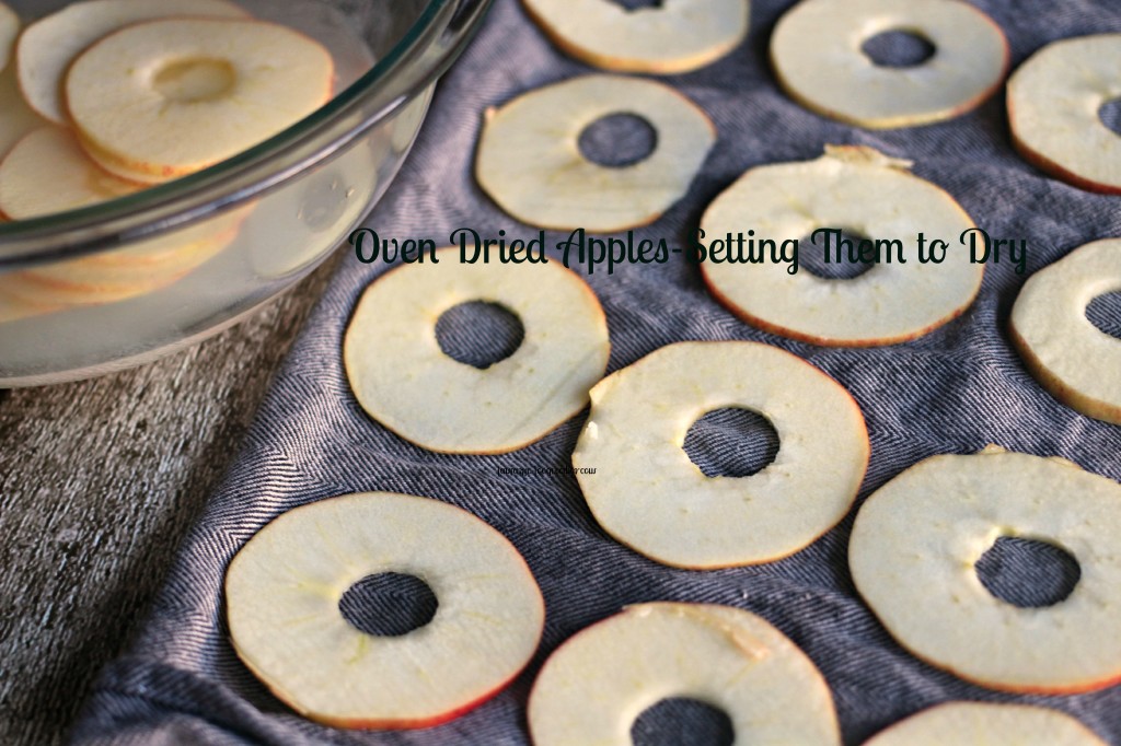 Oven Dried Apples-Setting Them to Dry