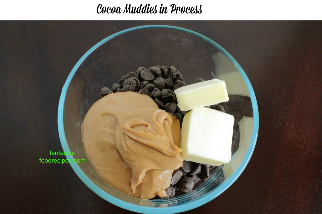 Cocoa Muddies in process 1