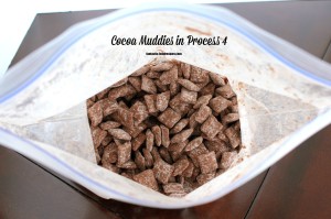 Cocoa Muddies in process 4
