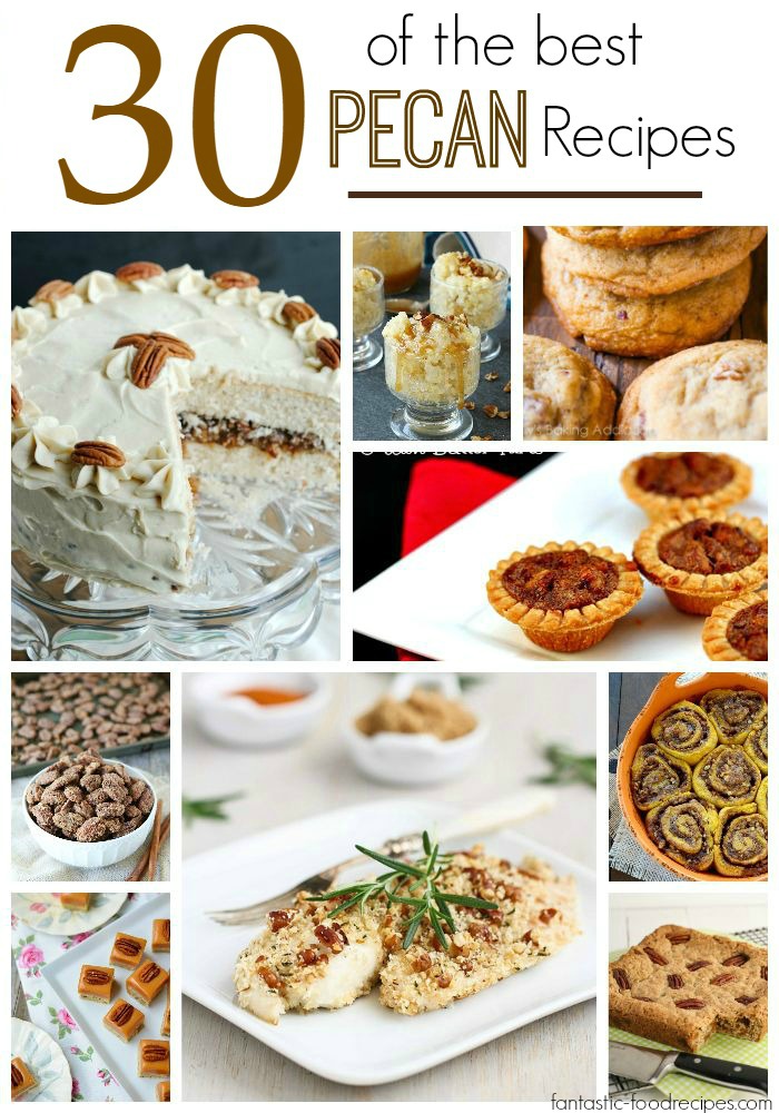 30 of The Best Pecan Recipes<p><!-- Google Ads Injected by Adsense Explosion 1.1.5 --><div class="adsxpls" id="adsxpls1" style="padding:7px; display: block; margin-left: auto; margin-right: auto; text-align: center;"><!-- AdSense Plugin Explosion num: 1 --><script type="text/javascript"><!--

google_ad_client = "pub-0699383648386361"; google_alternate_color = "FFFFFF";
google_ad_width = 234; google_ad_height = 60; google_ad_format = "234x60_as";
google_ad_type = "text_image";
google_ad_channel ="2528992444"; google_color_border = "336699";
google_color_link = "0000FF"; google_color_bg = "FFFFFF";
google_color_text = "000000"; google_color_url = "008000";
google_ui_features = "rc:6"; //--></script>
<script type="text/javascript" src="http://pagead2.googlesyndication.com/pagead/show_ads.js"></script></div></p>