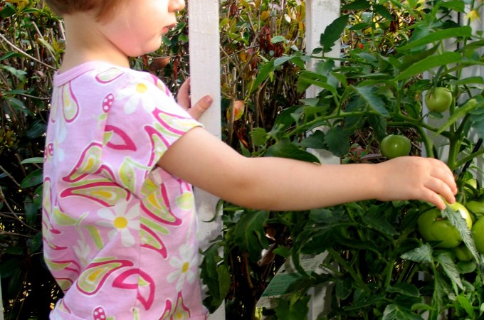 Creative Vegetable Gardening with Kids