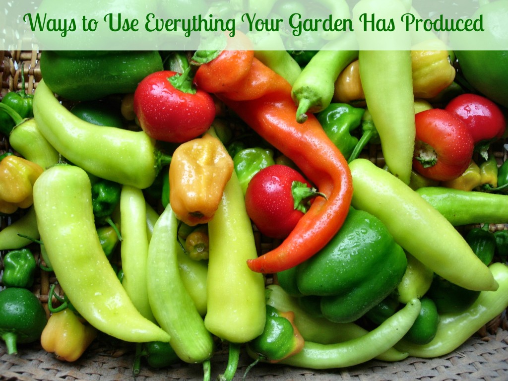 Ways to Use Everything Your Garden Has Produced