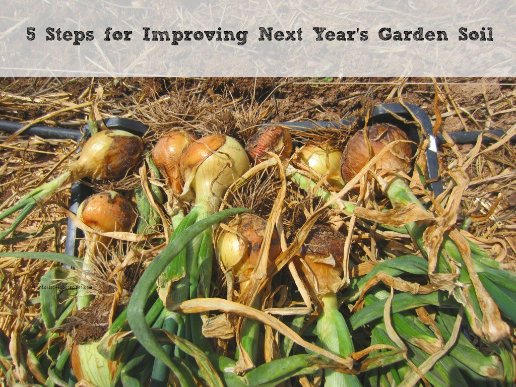 5 Steps for Improving Next Year's Garden Soil
