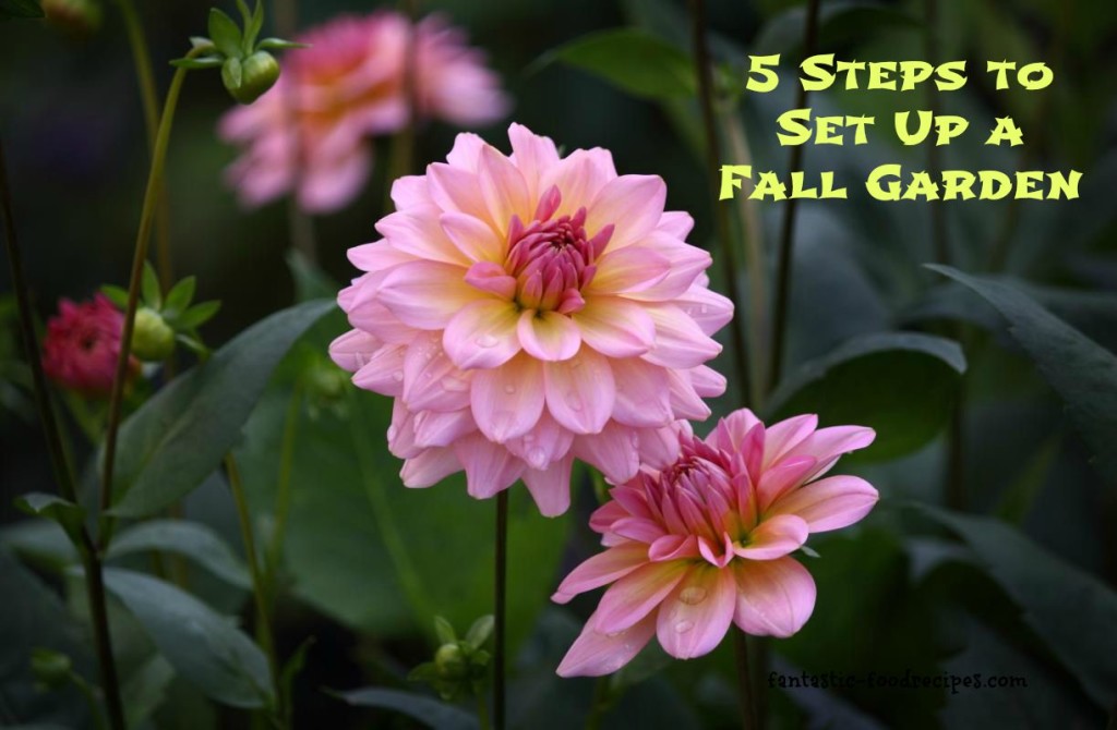 5 Steps to Set Up a Fall Garden