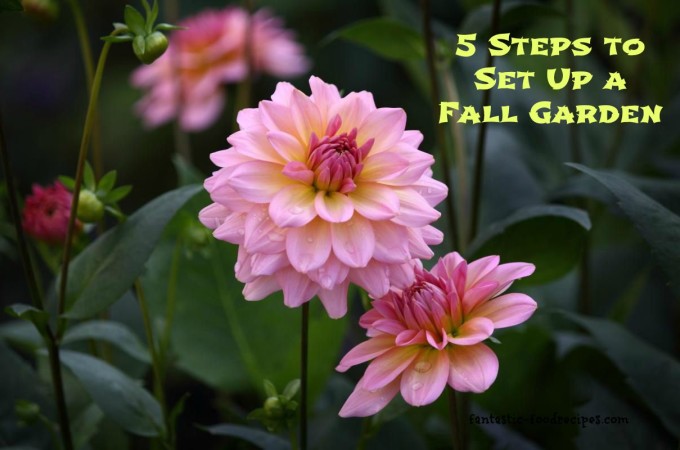 5 Steps to Set Up a Fall Garden