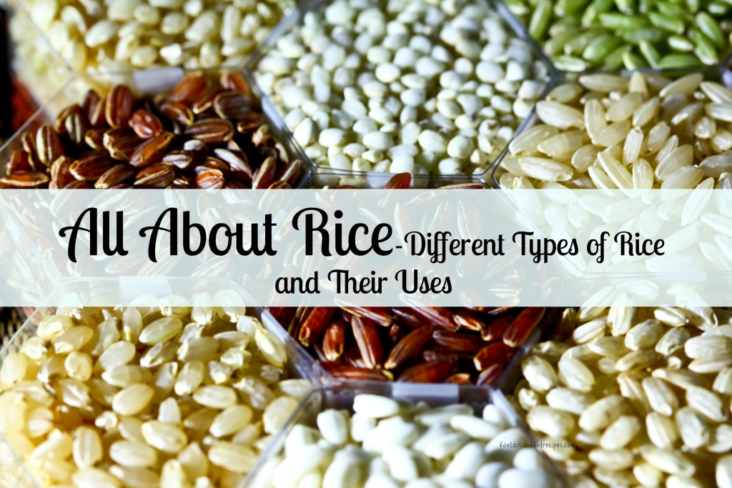 All About Rice- Different Types of Rice and Their Uses