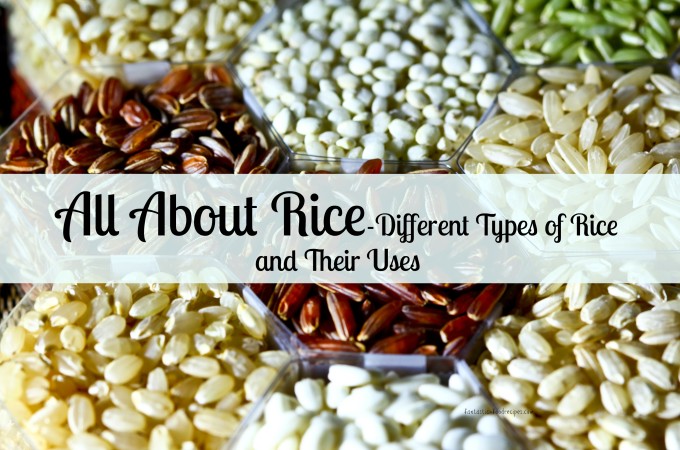 All About Rice- Different Types of Rice and Their Uses