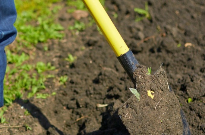 7 Best Fertilizers for Organic Gardening