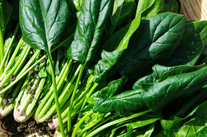 How to Grow Spinach