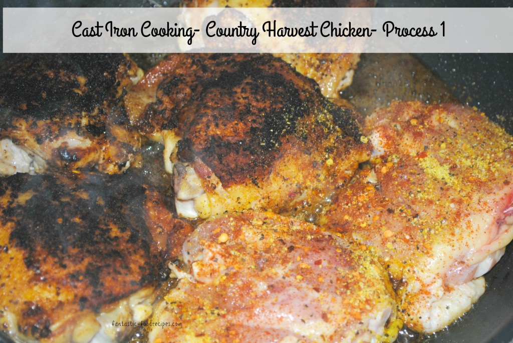 Cast Iron Cooking-Country Harvest Chicken-Process 1