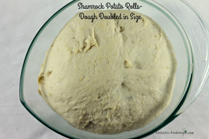 Shamrock Potato Rolls- Dough Double in Size
