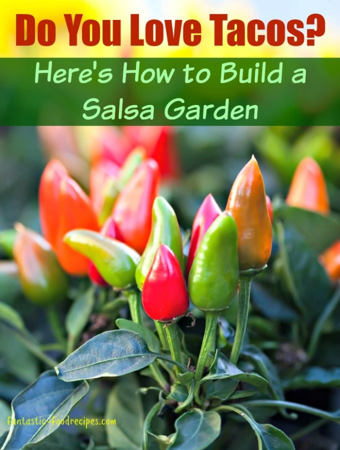 Learn How to Build a Salsa Garden<p><!-- adsense ad injection by Adsense Explosion failed - suspected violation of Policy Content (https://support.google.com/adsense/bin/answer.py?stc=aspe-1pp-it&answer=48182) - detect < hot > word (l the hot spicy pepp)--></p>