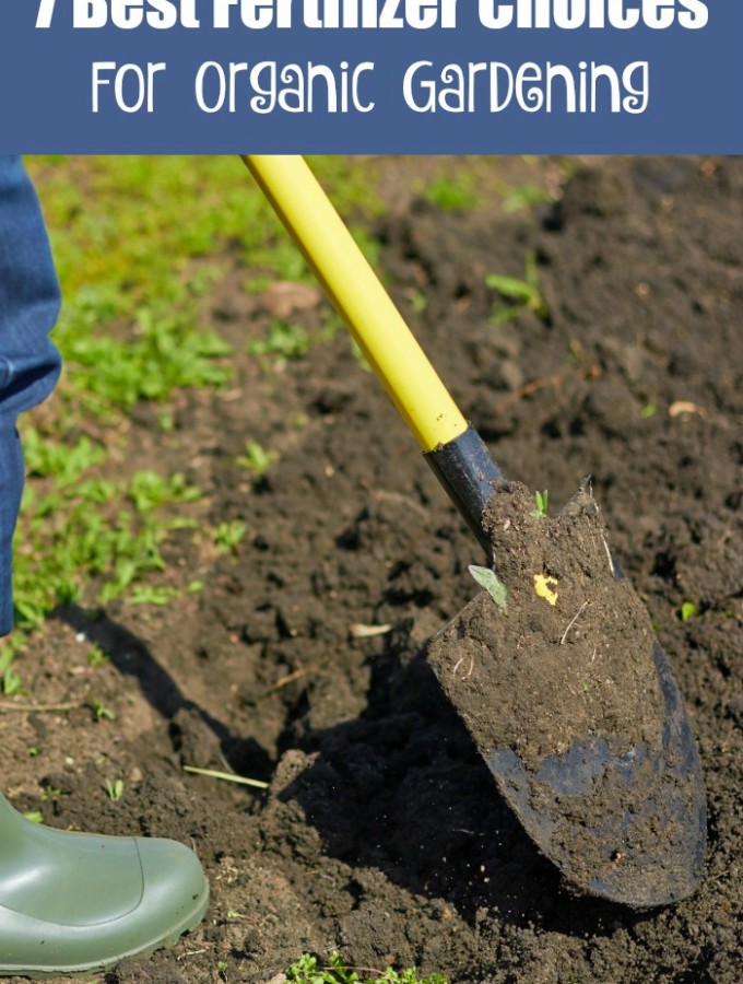 7 Best Fertilizer Choices For Organic Gardening